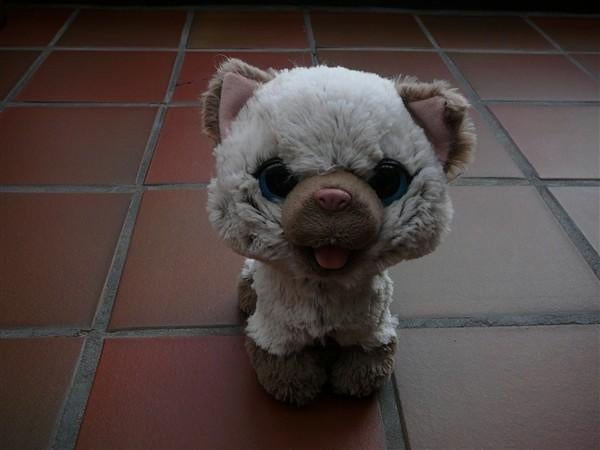Mooie poes op wieltjes die miaauwt, Enfants & Bébés, Jouets | Peluches, Chat, Enlèvement, Moyen (20 à 80 cm), Avec son