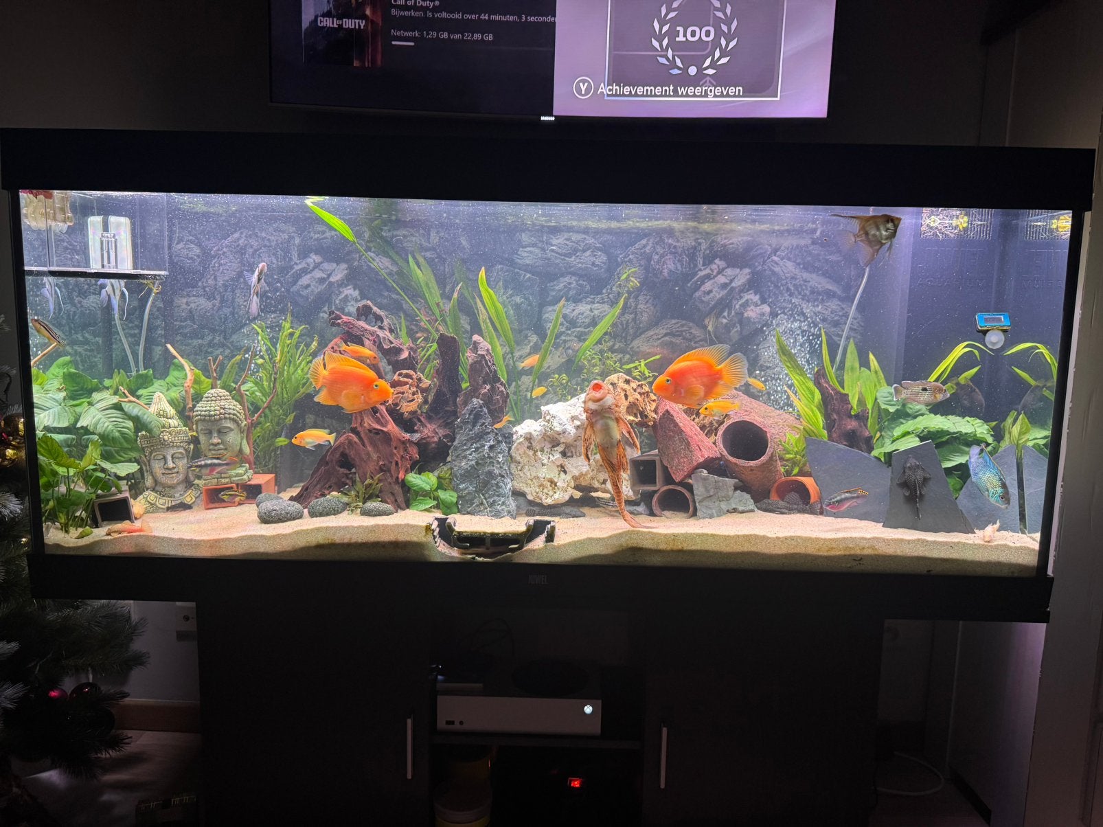 Juwel rio 450 tekoop, Dieren en Toebehoren, Ophalen, Zo goed als nieuw, Filter, JBL