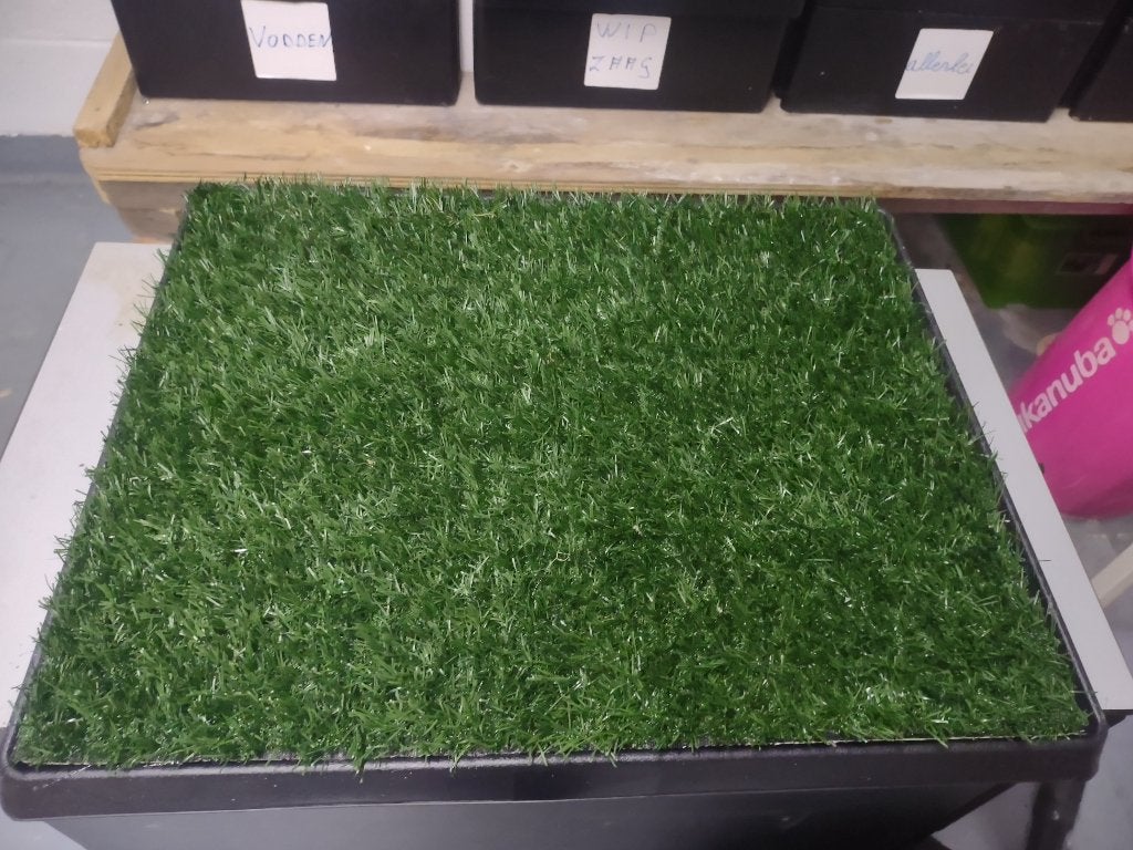 Hondentoilet, Dieren en Toebehoren, Ophalen, Nieuw
