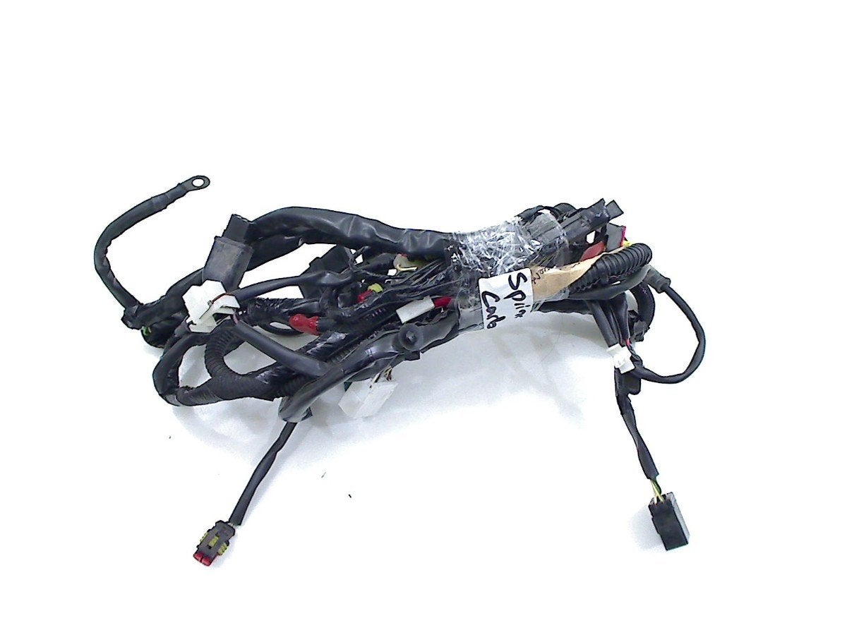FAISCEAU DE CÂBLAGE DIVERS Piaggio (1D000150), Piaggio, P.J. Troelstraweg 8 8
3144 CX  MAASSLUIS, NL, Info@cama-motorparts.nl