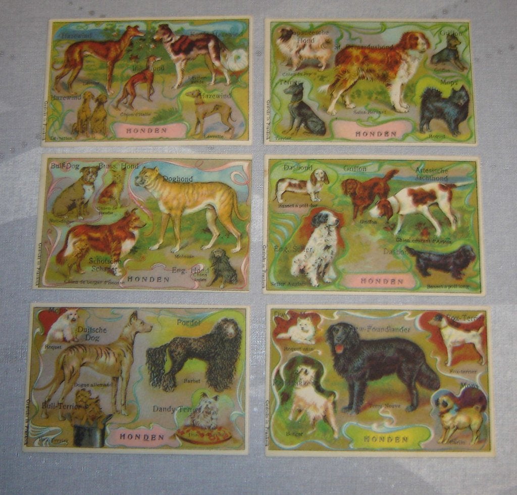 Chiens de la série Chromos Tape, Avant 1940, Gravure, Utilisé, Autres sujets/thèmes