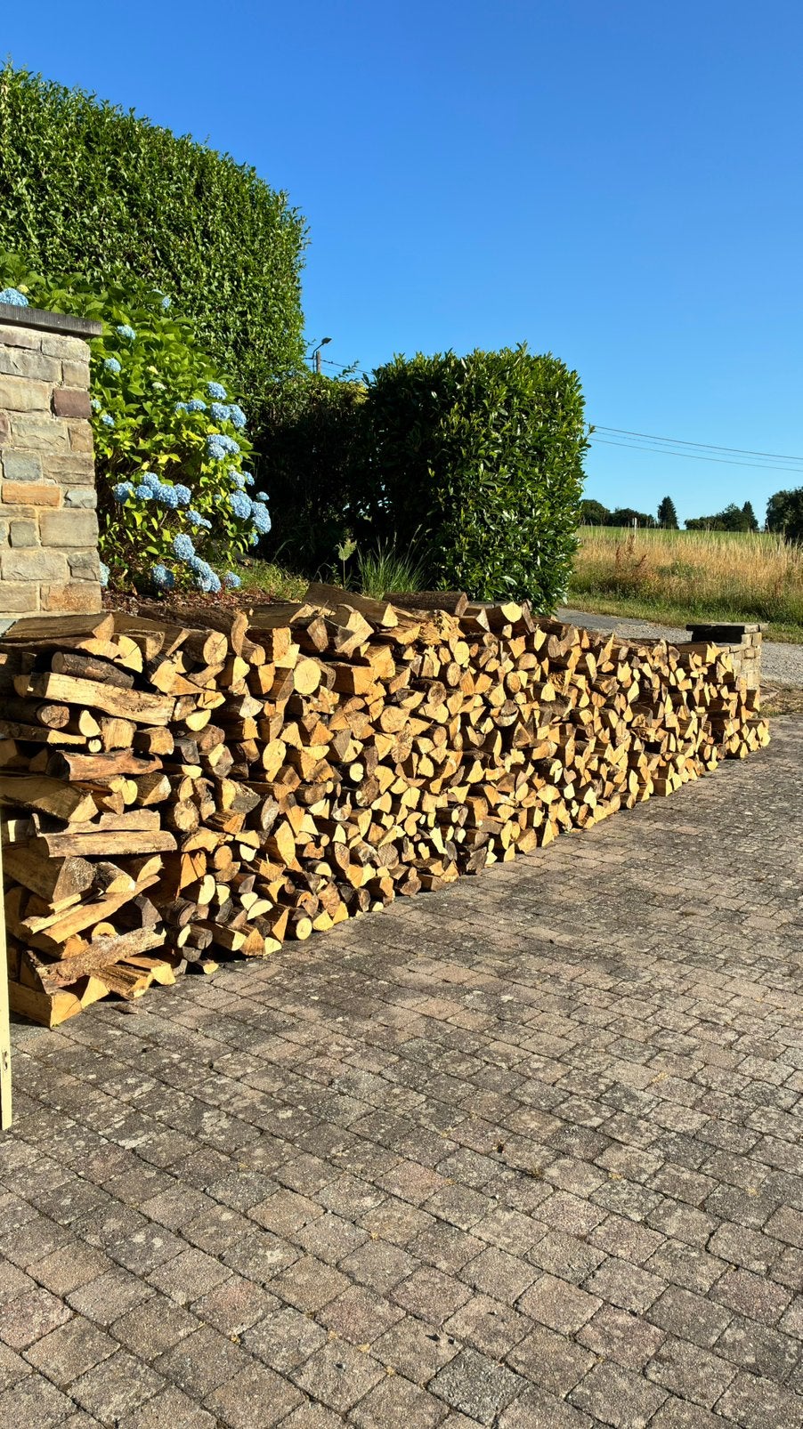 Droog brandhout, Tuin en Terras, Brandhout, Ophalen of Verzenden, Beukenhout