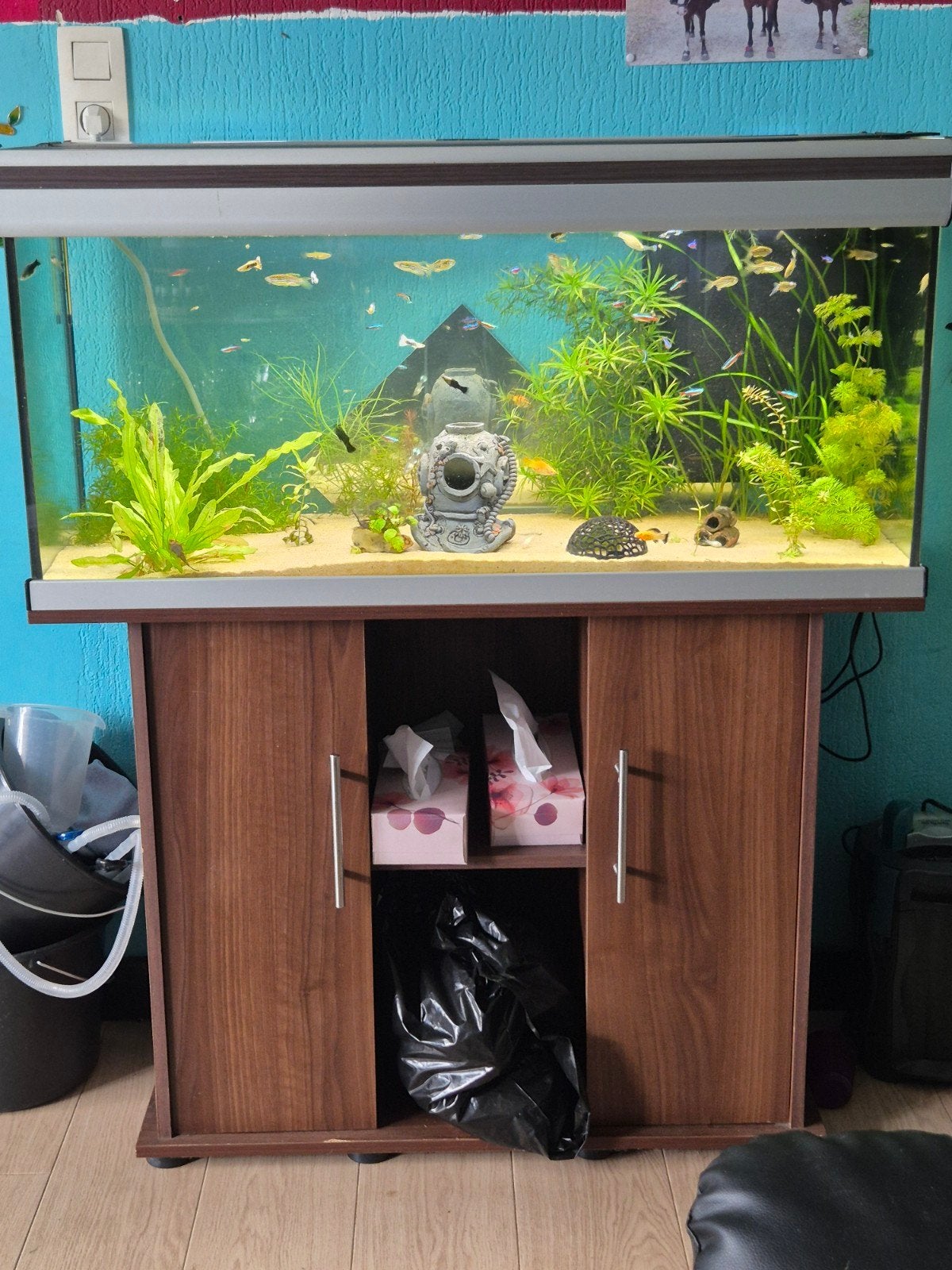 aquarium 200l, Ophalen