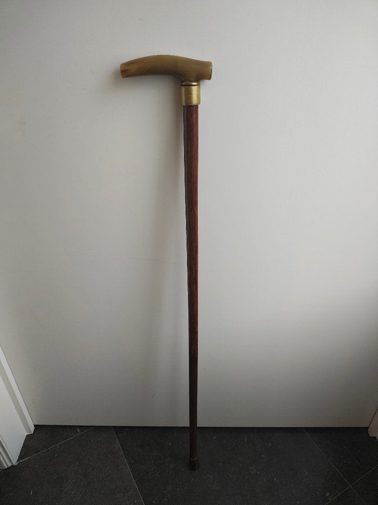 Wandelstok, Diversen, Ophalen of Verzenden, Gebruikt