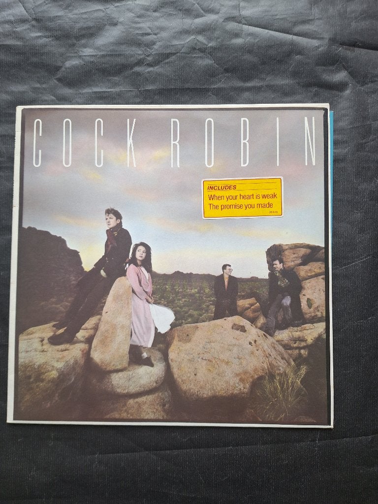 COCK ROBIN "Cock Robin" poprock LP (1985) Topstaat!, CD & DVD, Vinyles | Rock, Pop rock, Enlèvement ou Envoi, Comme neuf, Avec pochette intérieure