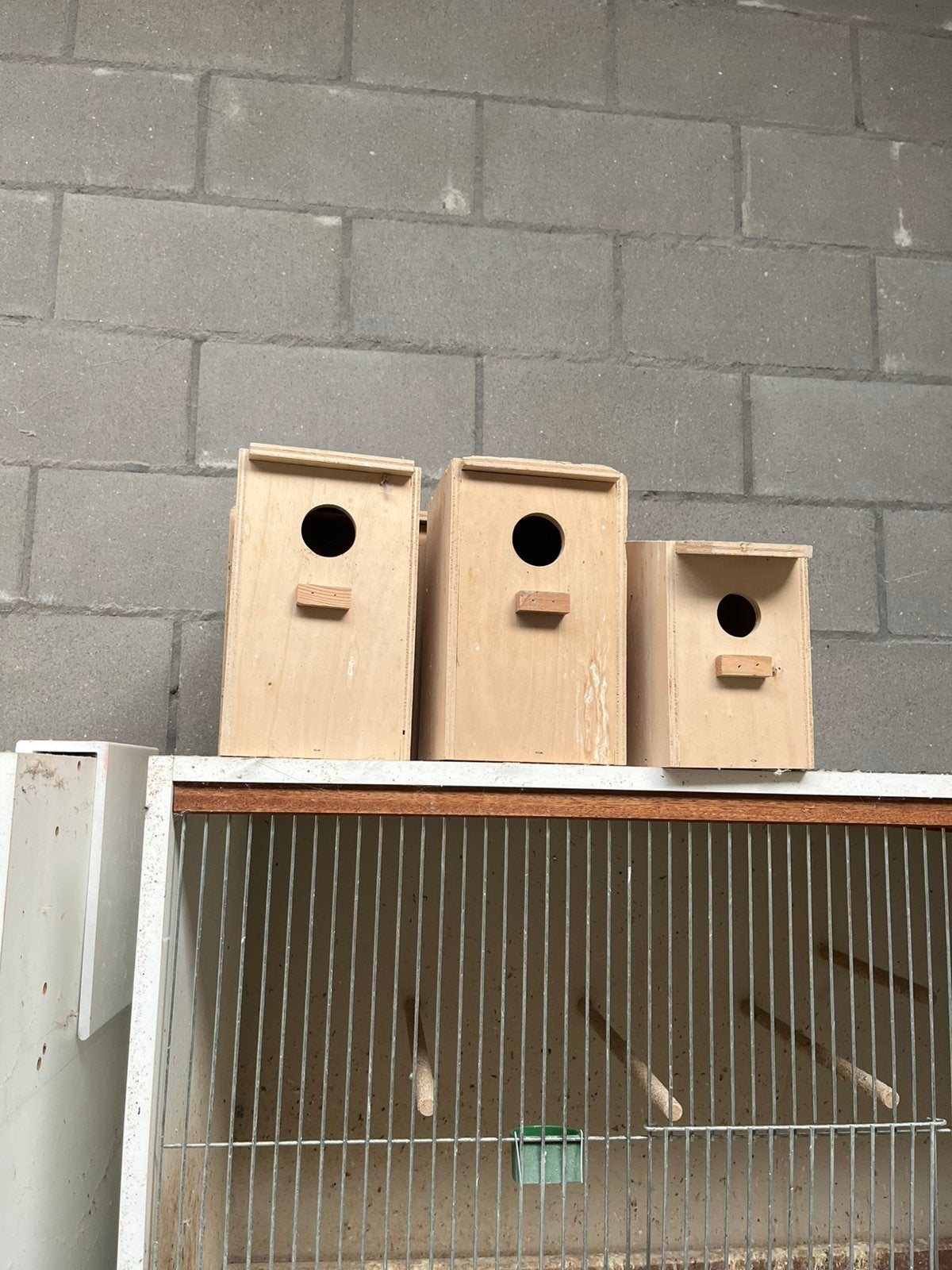 Vogel benodiggeden, Dieren en Toebehoren, Ophalen of Verzenden