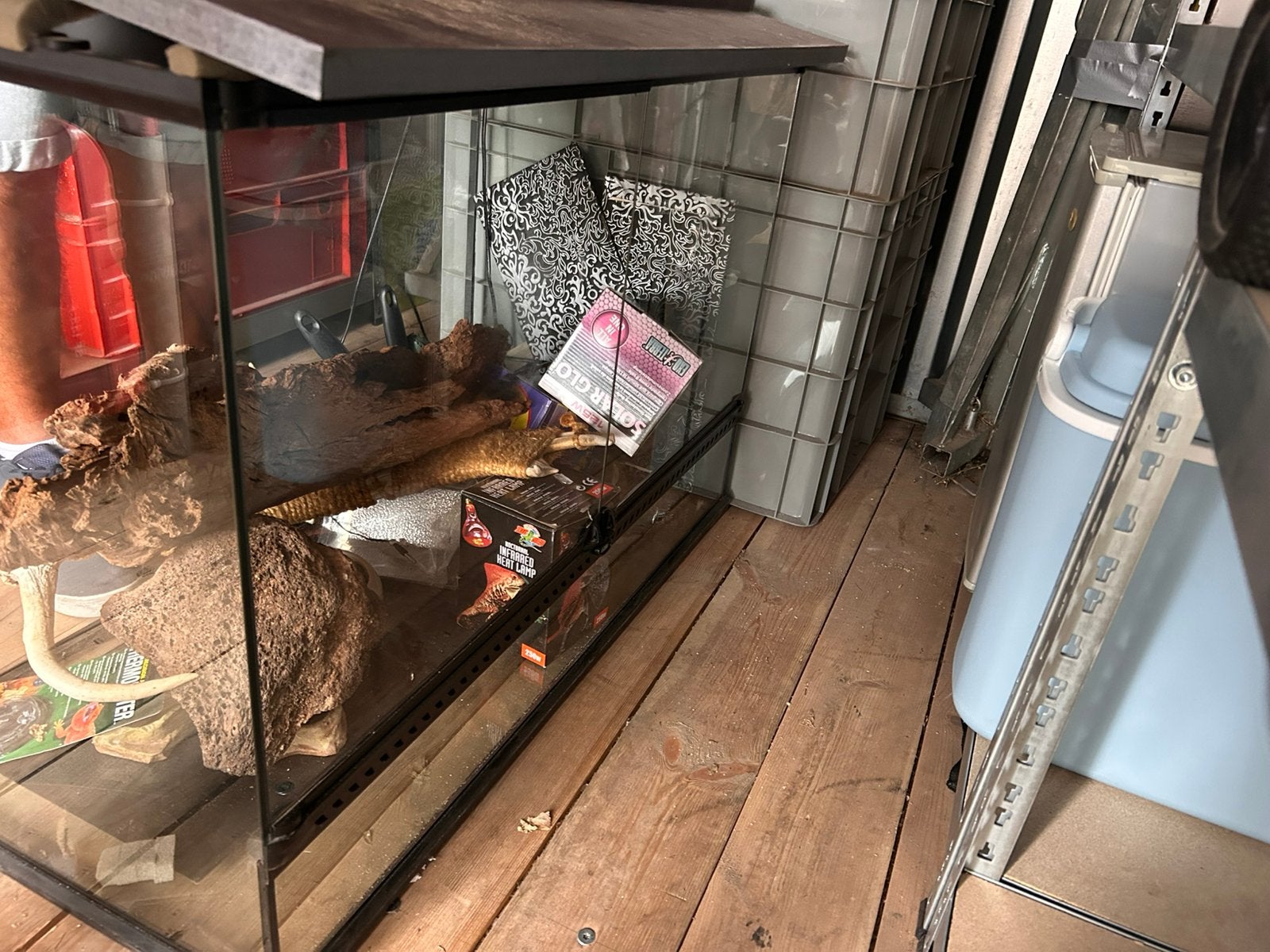Terrarium exo terra 90x45x60, Enlèvement, Utilisé