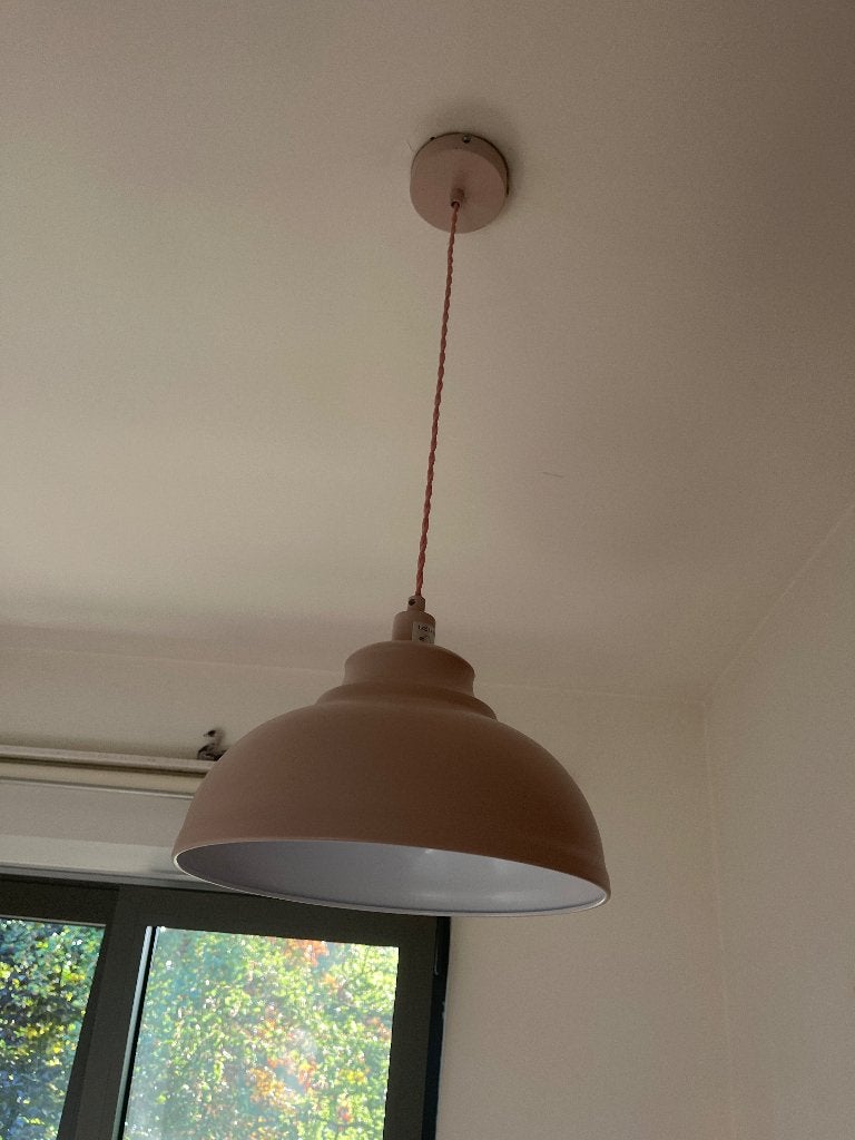 Roze met witte lamp, Enlèvement
