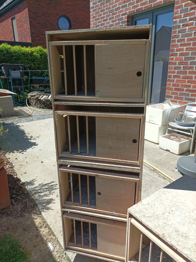 Boîtes d'élevage de pigeons, Animaux & Accessoires, Enlèvement