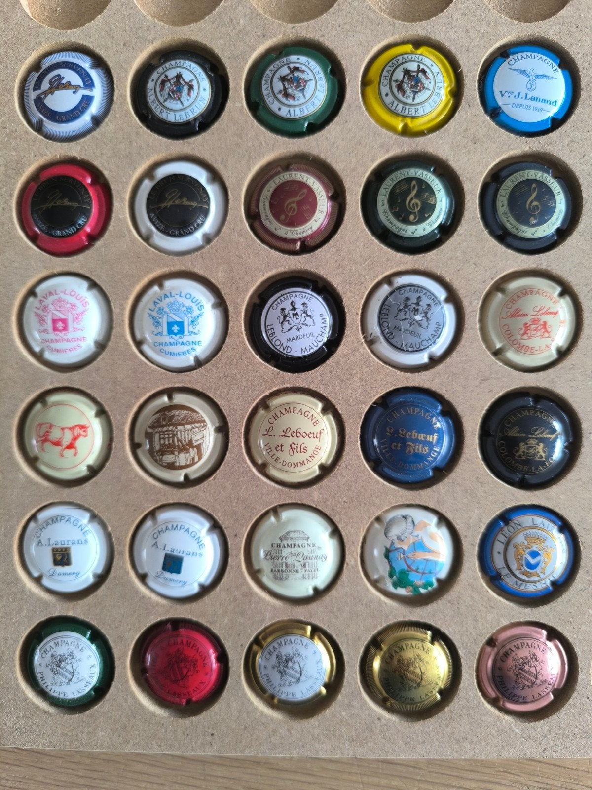 30 verschillende Champagne capsules met de letter L (5), Ophalen of Verzenden