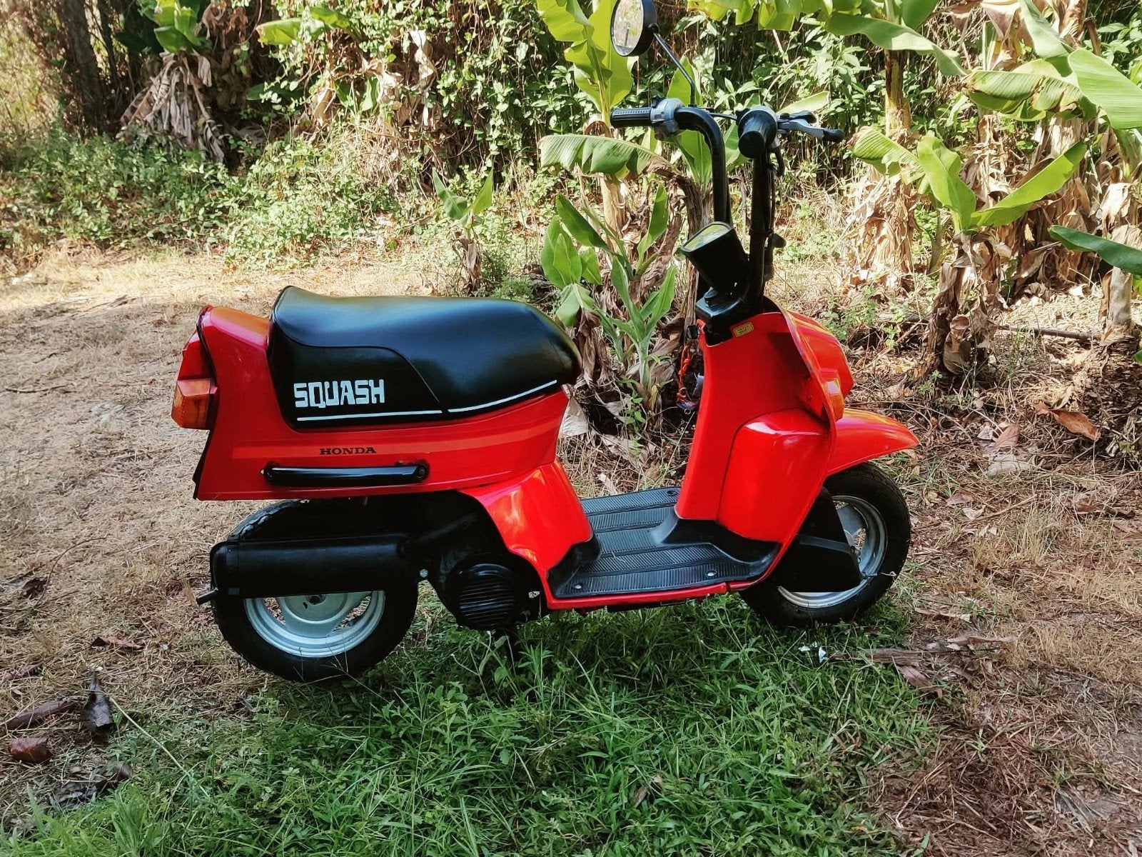 honda squash type 2 50cc, Ophalen
