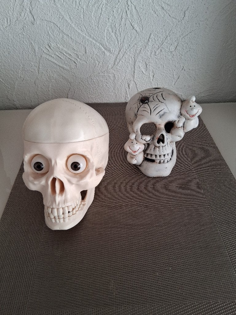 SKULL - 2 hoofden, Ophalen of Verzenden