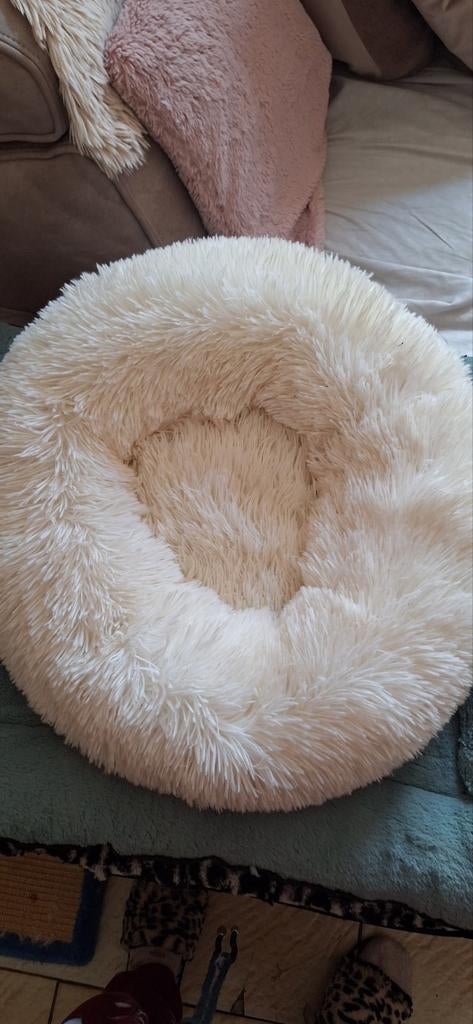 Panier pour chat ou petit chien, Animaux & Accessoires, Enlèvement
