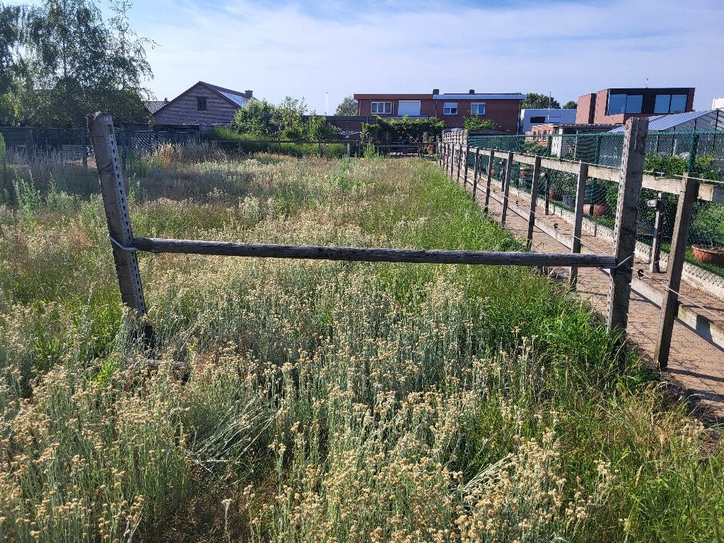 Toebehoren paarden, Ophalen, Gebruikt, Springen