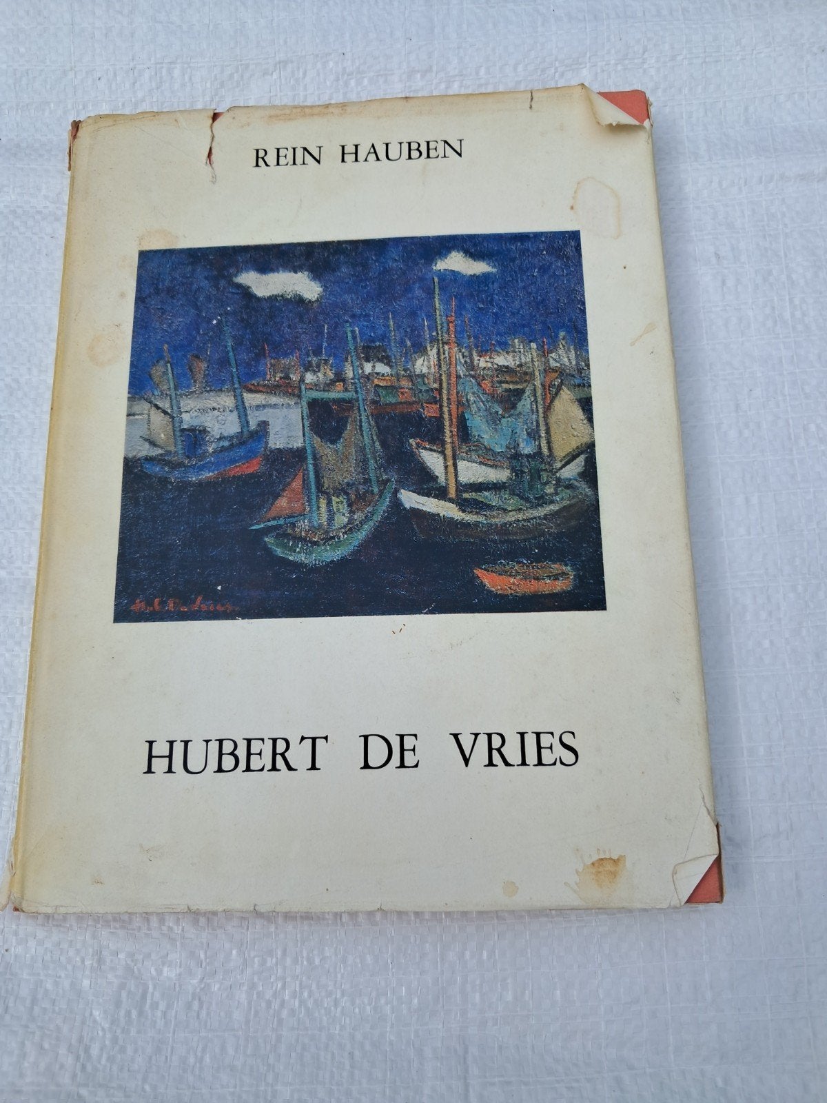 Hubert de Vries, Rein Hauben, Antiek en Kunst, Ophalen, Robert de vries
