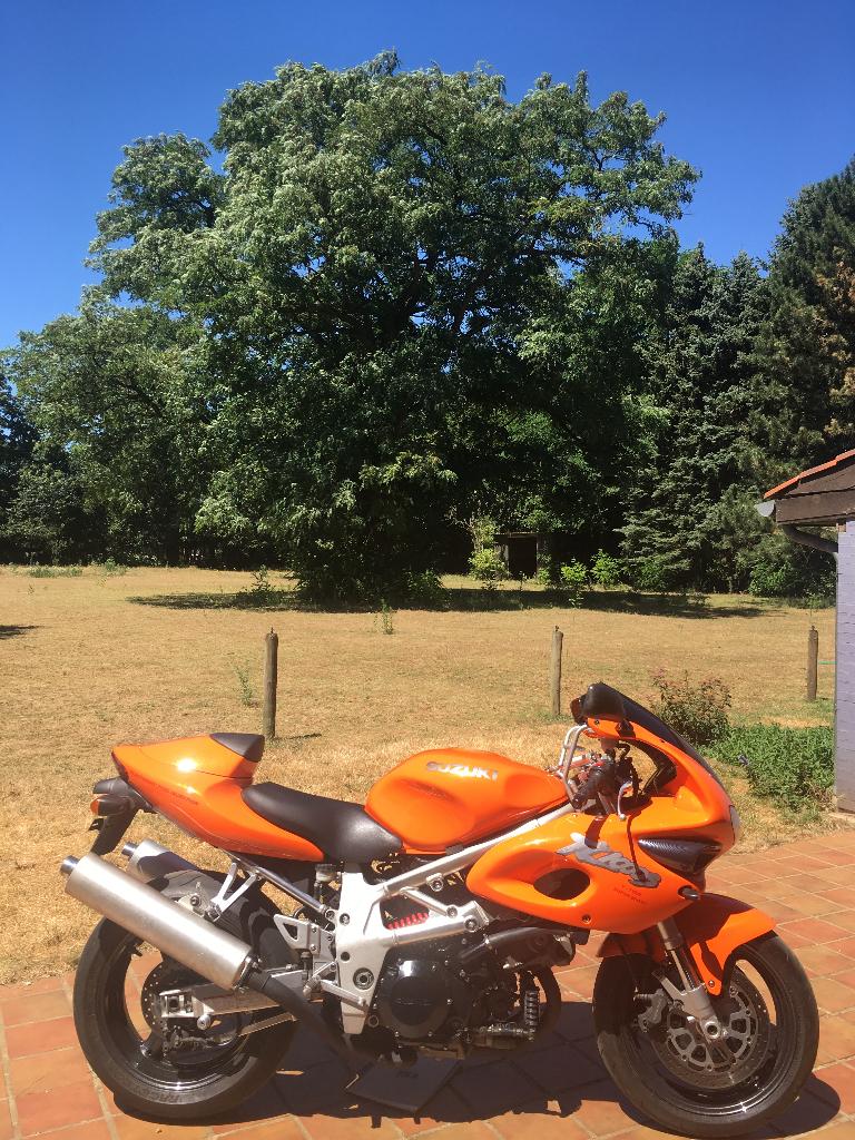 Prachtige TL1000S, Motoren, Motoren | Suzuki, Particulier, Super Sport, meer dan 35 kW, 2 cilinders, Gebruikt, Ophalen