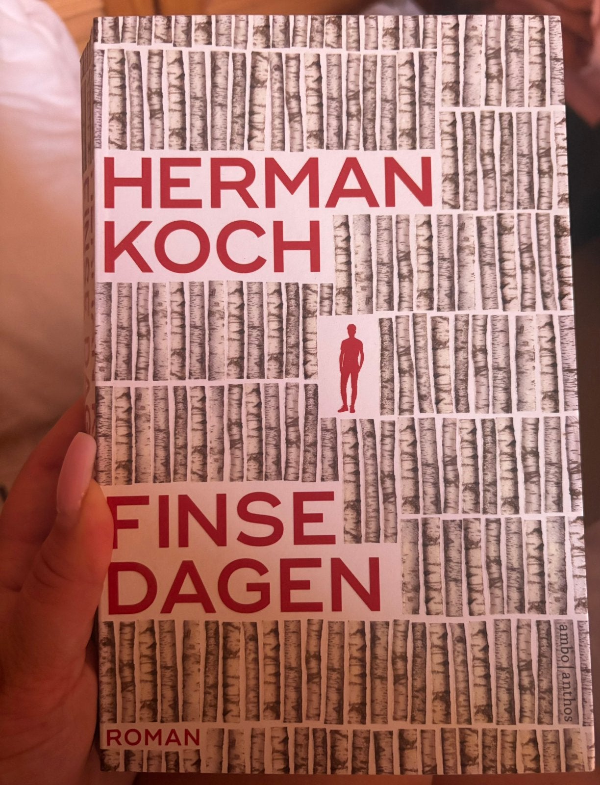 Finse dagen – Herman Koch, Ophalen of Verzenden, Nieuw