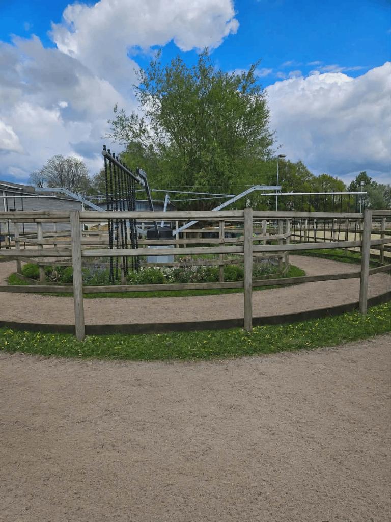2 stallen te huur privestal, Weidegang, 1 paard of pony