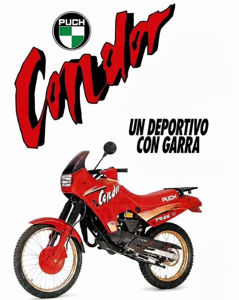 Puch / Vespa Condor Trail 50 cc de collection, Motos, Motos | Oldtimers & Ancêtres, Enduro, jusqu'à 11 kW, 1 cylindre, Permis Moto A1 minimum