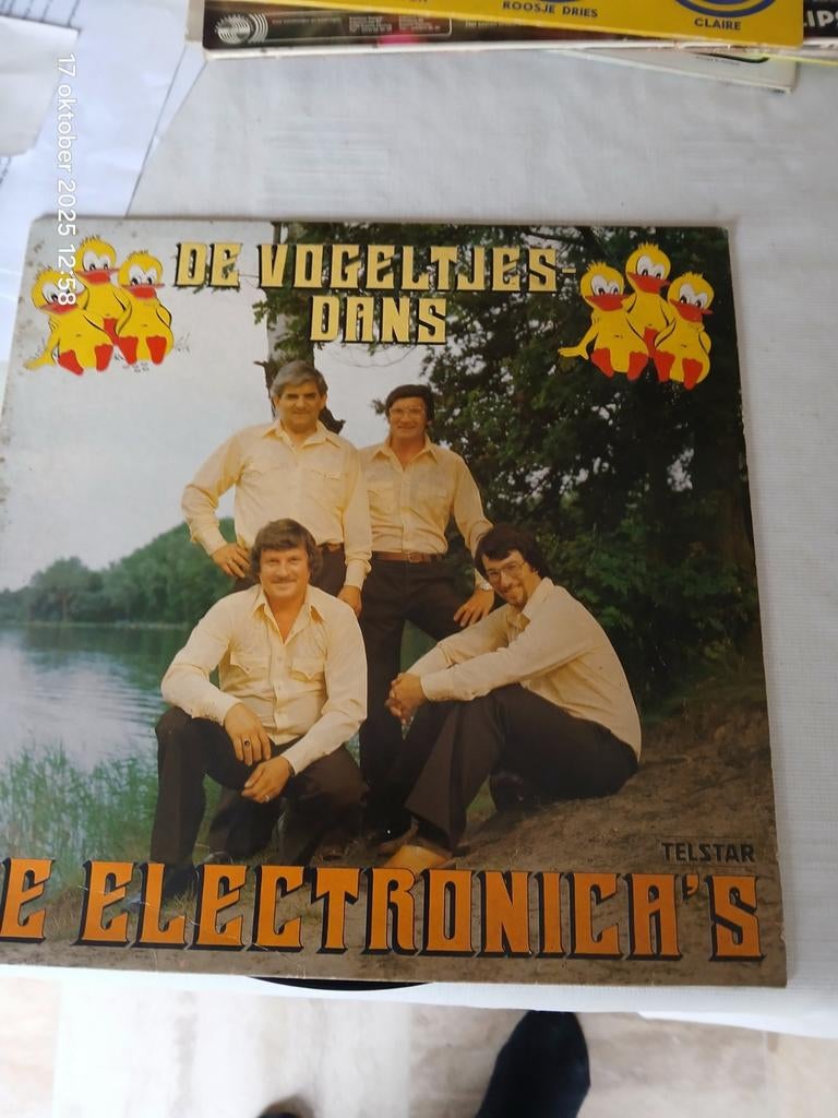 Lot van 10 vinyl LP langspeelplaten , zie foto's en liedjes, Ophalen, 1990 - 1999, Zo goed als nieuw, Europees