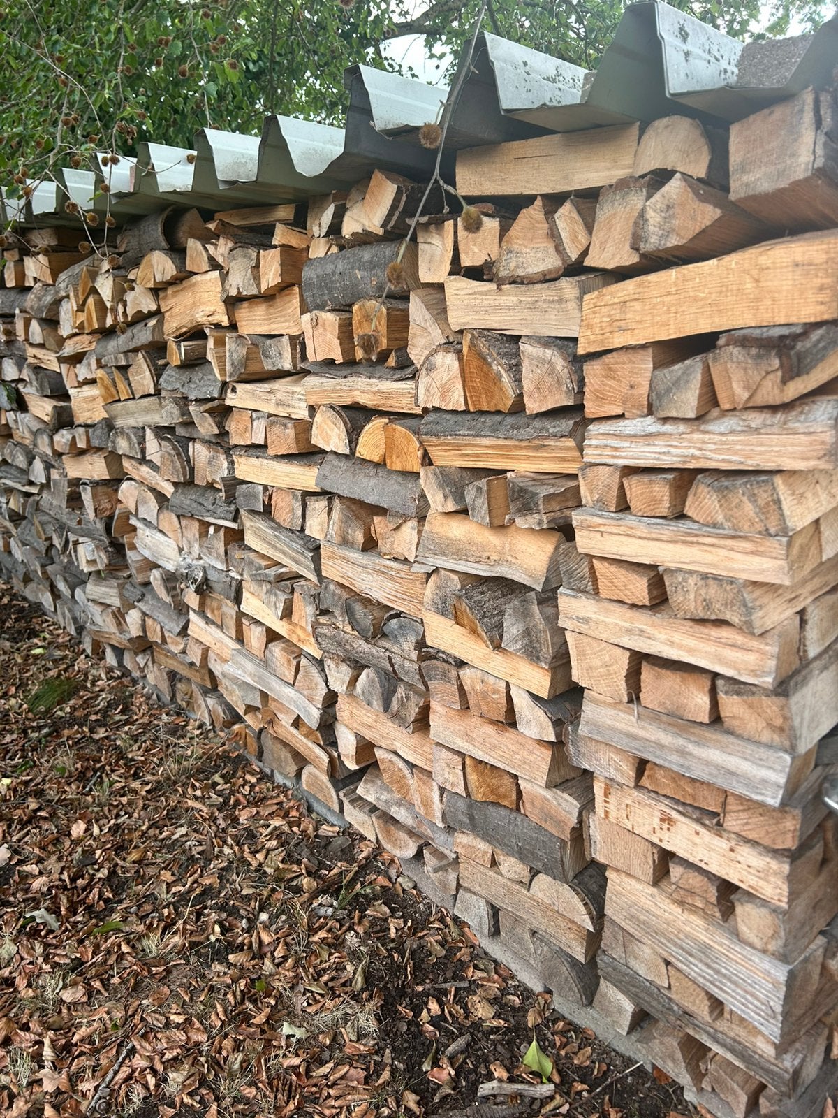 Droog brandhout - hard hout, 6 m³ of meer, Ophalen, Eikenhout, Blokken