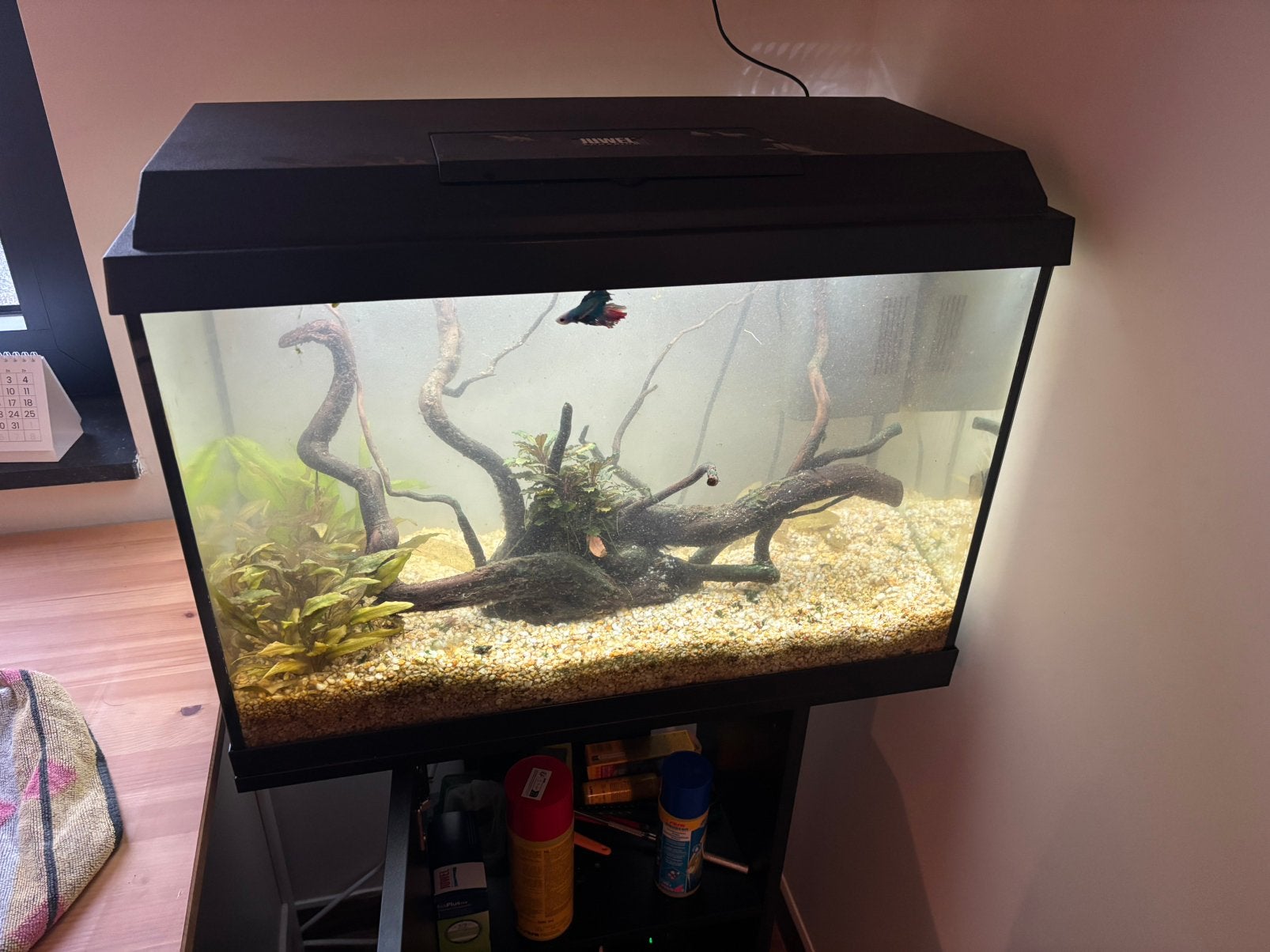 Aquarium, Animaux & Accessoires, Enlèvement, Comme neuf, Juwel