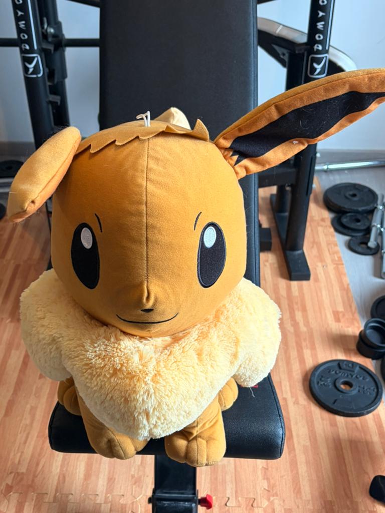 Grande peluche Pokemon Evoli, Enlèvement, Comme neuf