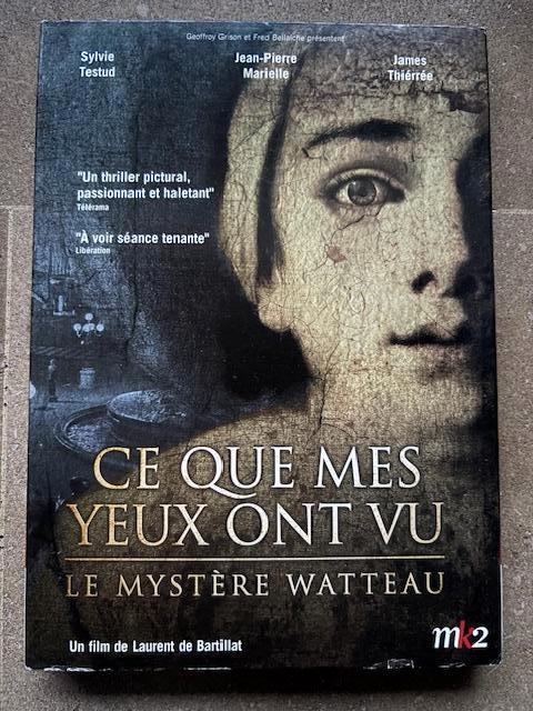 Ce que mes yeux ont vu (Le mystère Watteau), CD & DVD, DVD | Thrillers & Policiers, Comme neuf, Autres genres, Tous les âges, Enlèvement