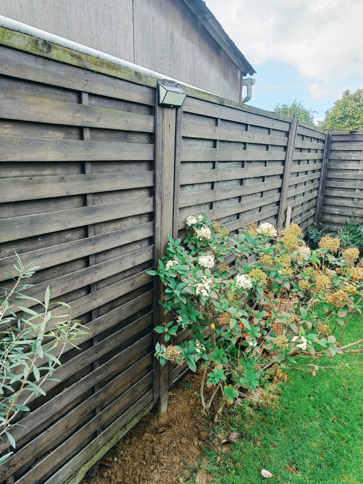 houten tuinafsluiting, Tuin en Terras, Ophalen