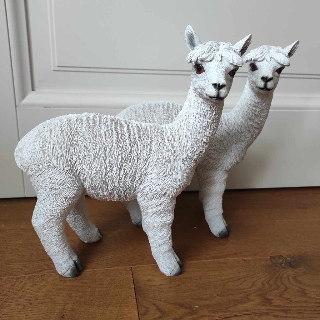 Lama / Alpacca beelden, Enlèvement ou Envoi, Animal
