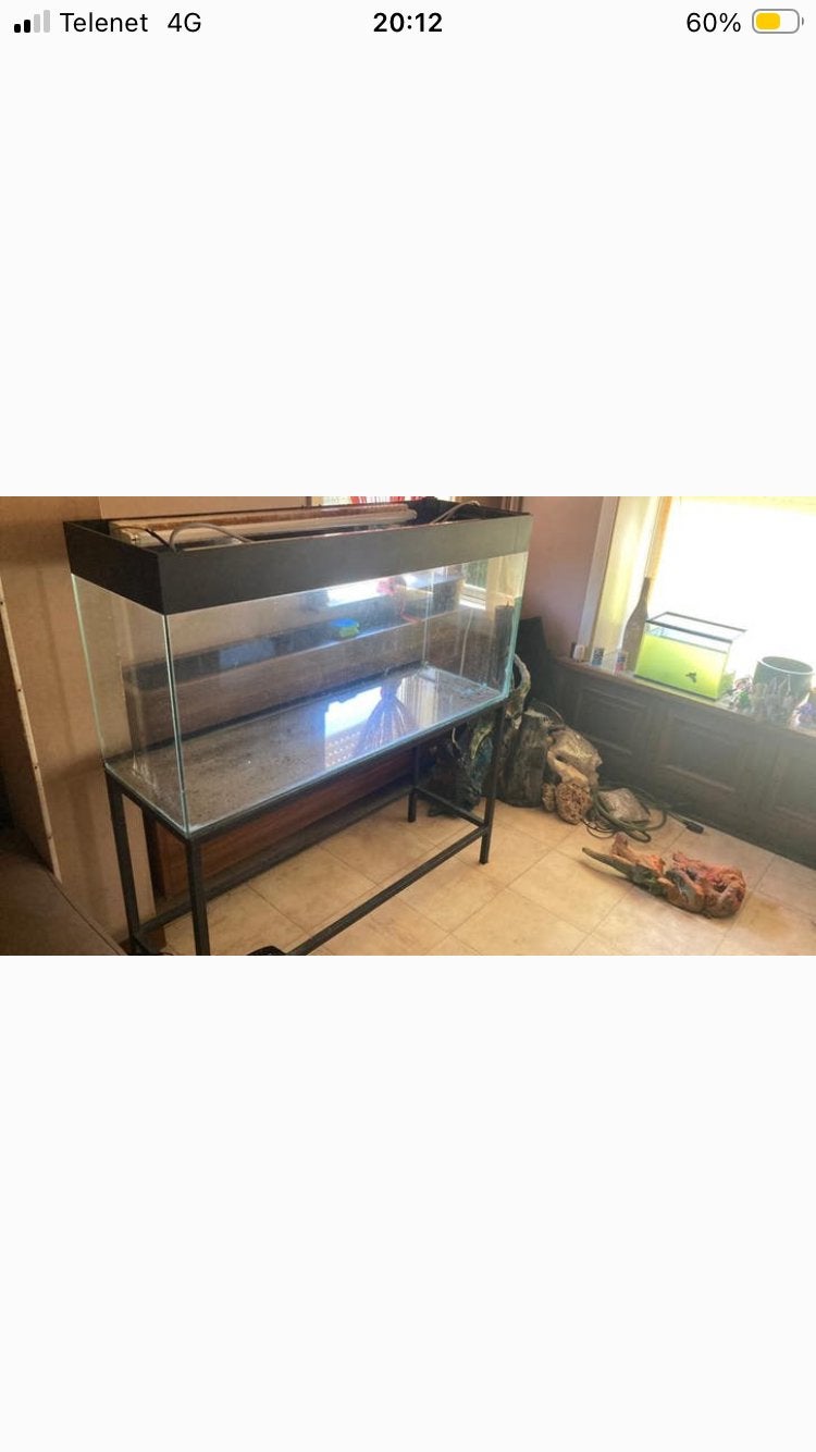 Aquarium ongeveer 260 liter, Ophalen, Gebruikt