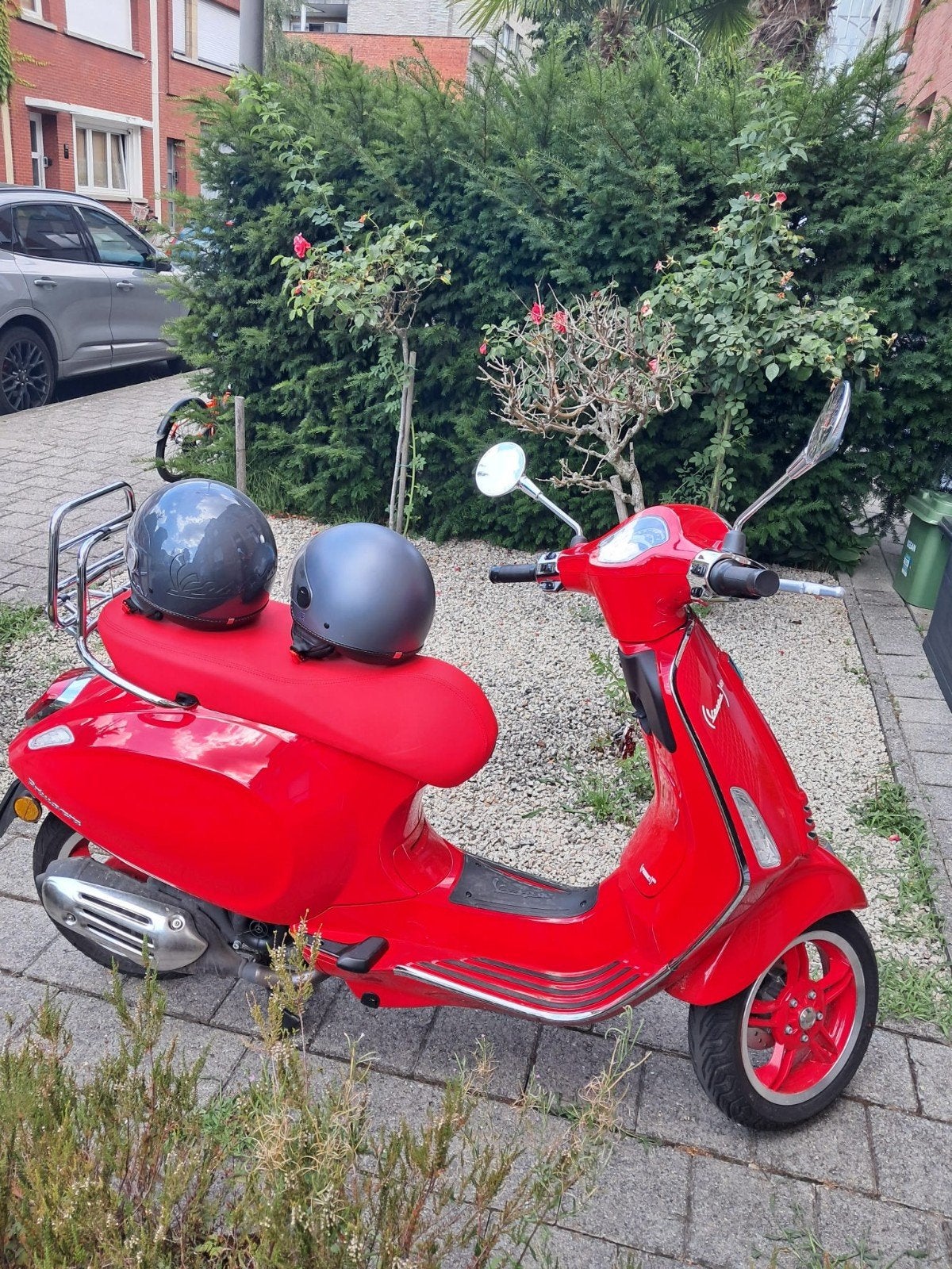 Vespa d'une beauté exceptionnelle, Enlèvement
