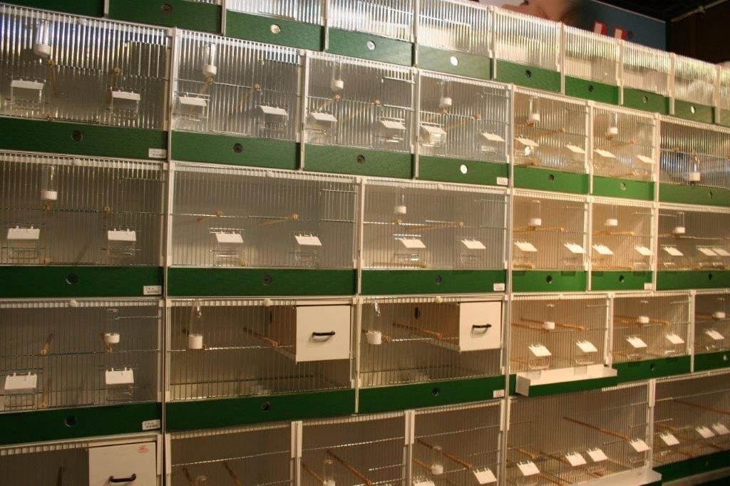 Nieuwe PVC kooien, Dieren en Toebehoren, Ophalen, Nieuw, Kunststof, Broedkooi of Kweekkooi