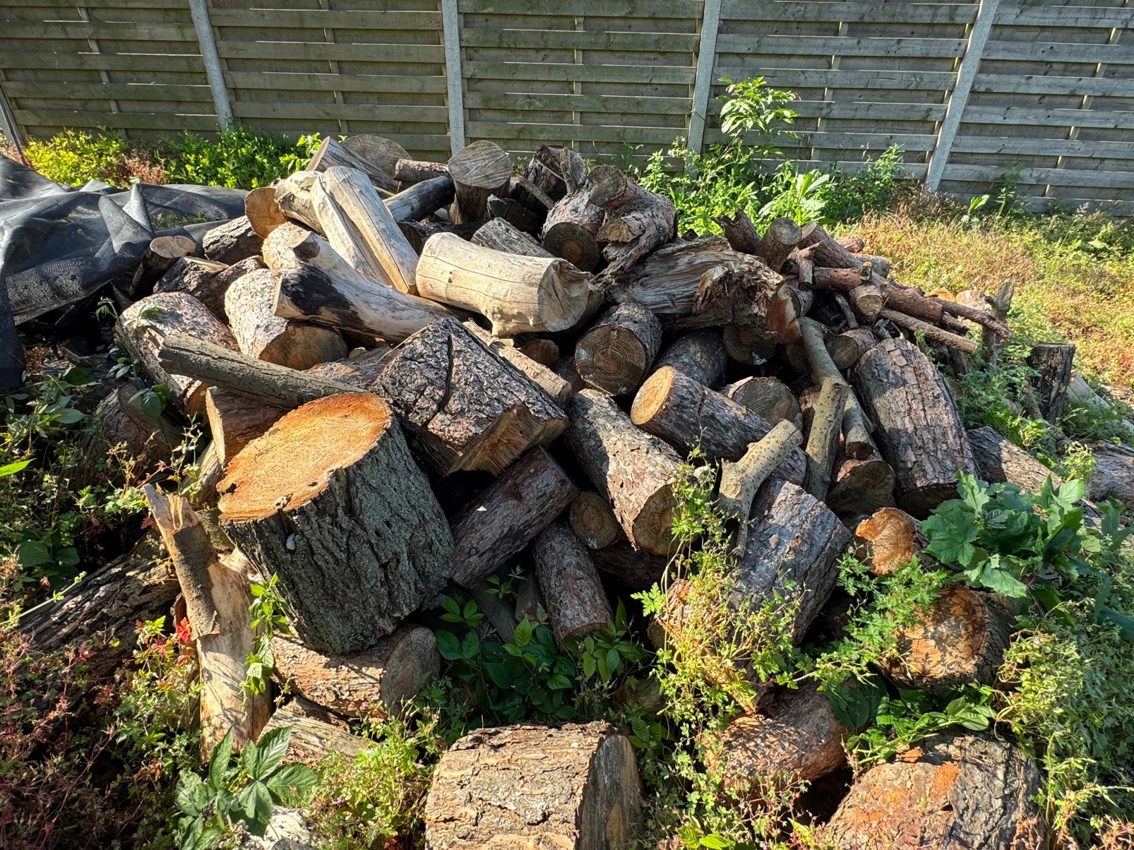 Houtblokken, 3 à 6 m³, Enlèvement, Autres essences de bois, Troncs d'arbres