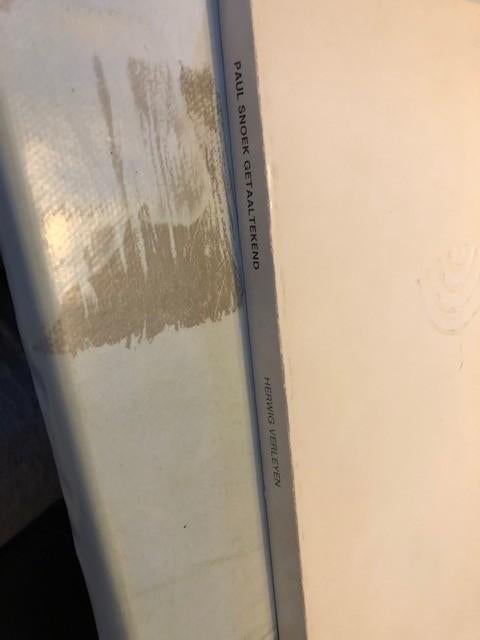 Getaaltekend - Paul Snoek, Boeken, Gelezen, Paul Snoek, Ophalen of Verzenden, Eén auteur