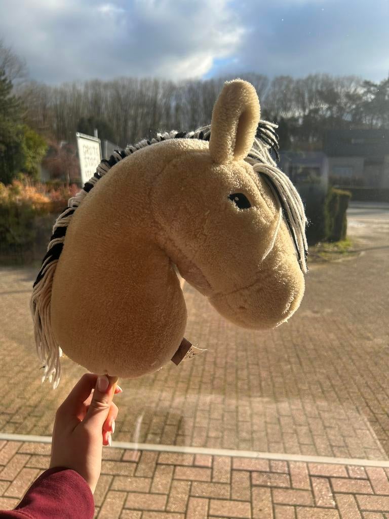 Stokpaard/hobbyhorse te koop
