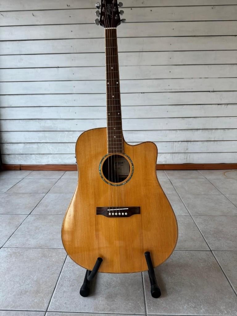 Guitare électro-acoustique Morgan, Musique & Instruments, Enlèvement, Comme neuf