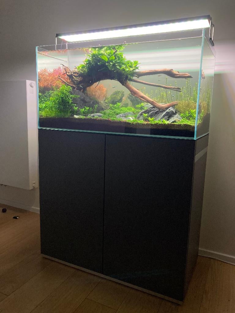 Aquarium Oase Scaperline 90 - ETAT NEUF, Ophalen, Zo goed als nieuw, Leeg aquarium