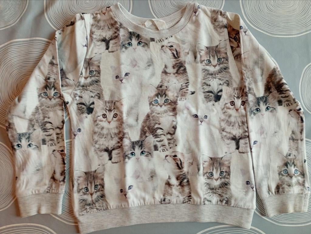 Dunne trui poesjes H&M mt 110-116, Kinderen en Baby's, Kinderkleding | Maat 110, Gebruikt, Meisje, Trui of Vest, H&M