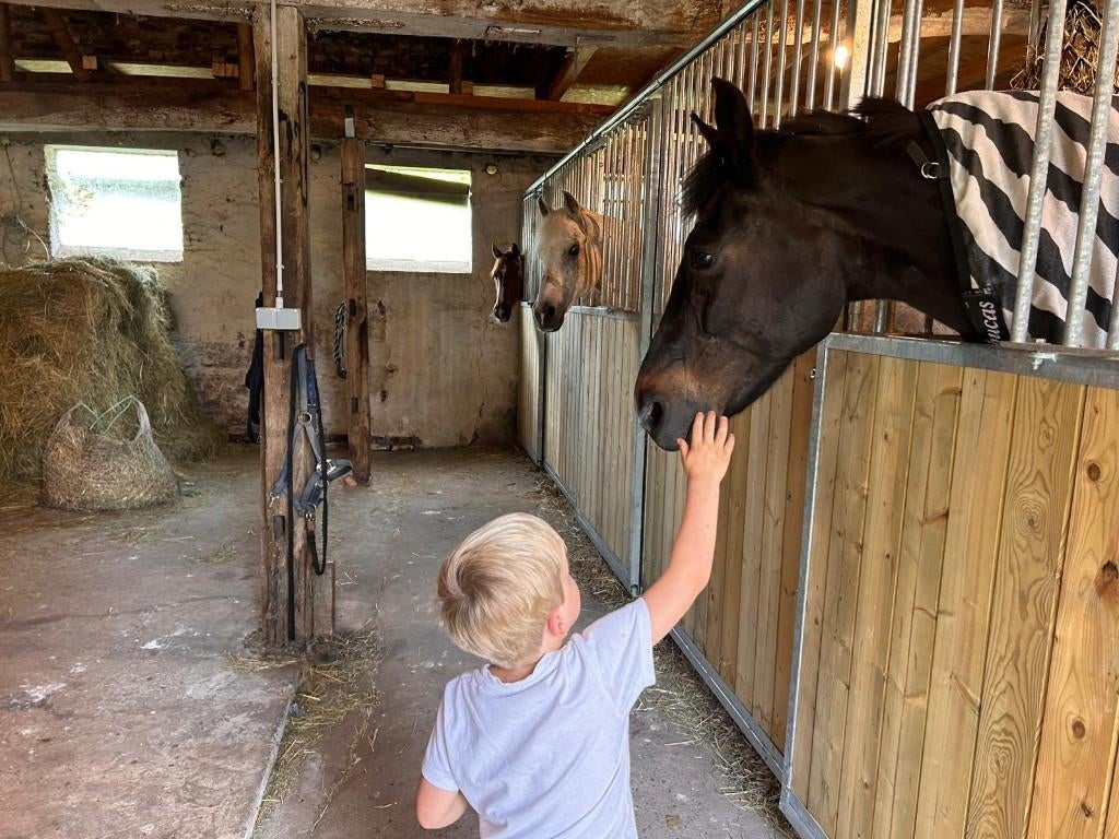 Stalling en weidegang, Weidegang, 4 paarden of pony's of meer