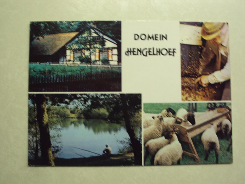 54774 - HOUTHALEN - HENGELHOEF - 4 ZICHTEN - ZIE 2  FOTO'S, Envoi