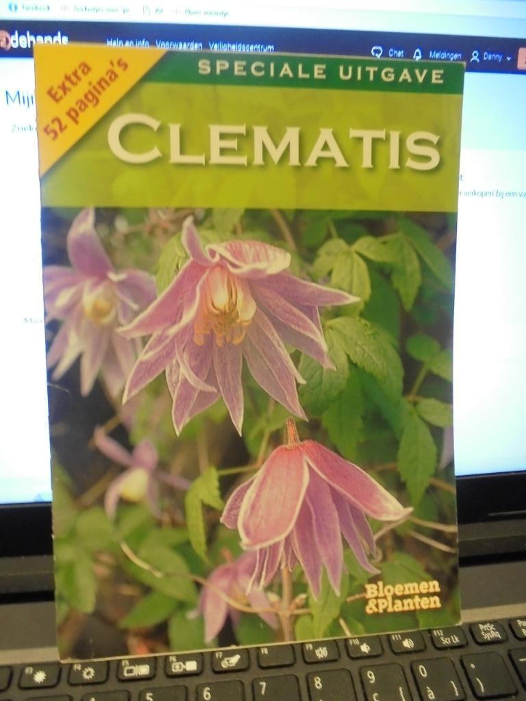 clematis, Ophalen of Verzenden, Zo goed als nieuw, Tuinieren en Tuinplanten