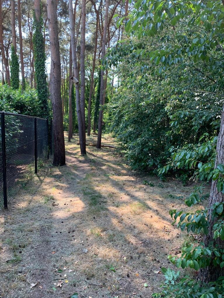 Huislijke hondenopvang bij hondenhotel Dierenbos, Garde privée