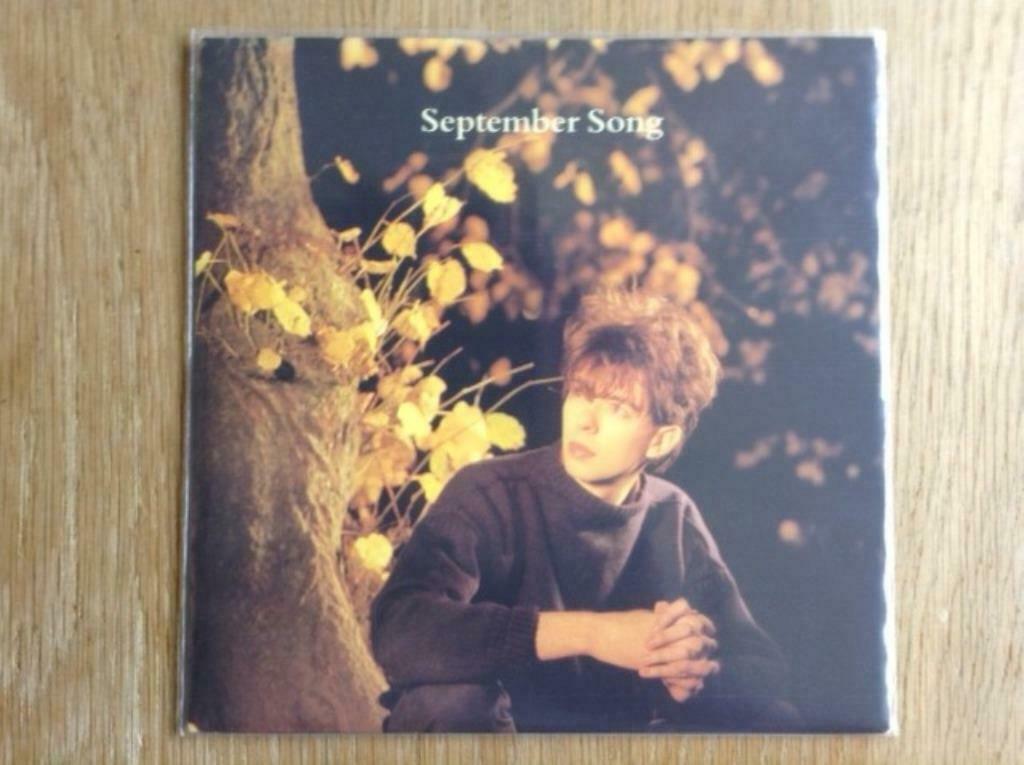 single ian mcculloch, Enlèvement ou Envoi, 7 pouces, Rock et Metal, Single