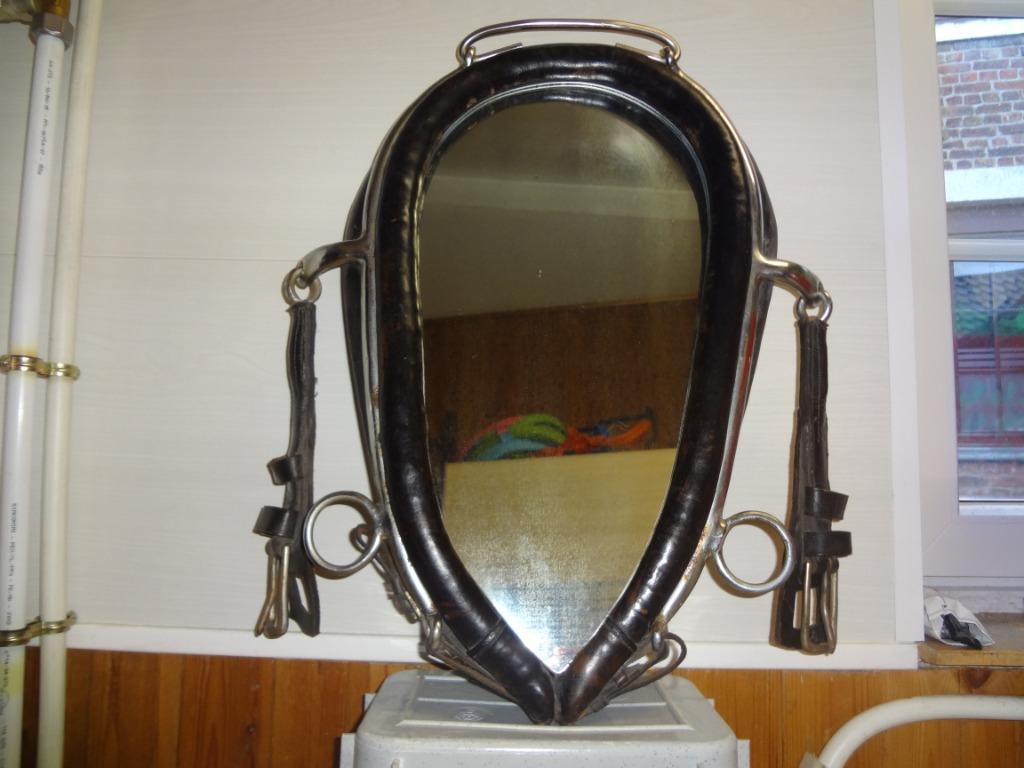 Lederen paardenhalsketting met spiegel, Antiek en Kunst, Ophalen, Overige vormen, Minder dan 50 cm, Minder dan 100 cm