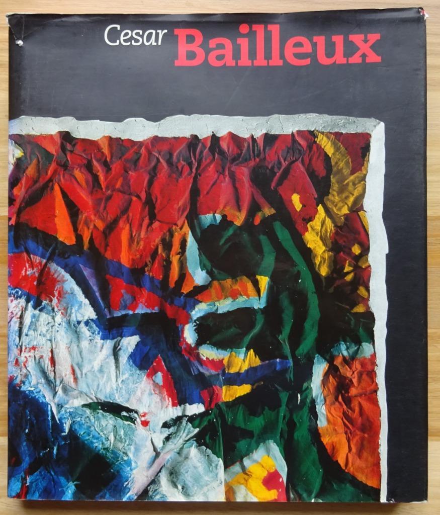 Cesar Bailleux,   Monografie Roularta Art Books  1996, Enlèvement ou Envoi, Utilisé, Sculpture