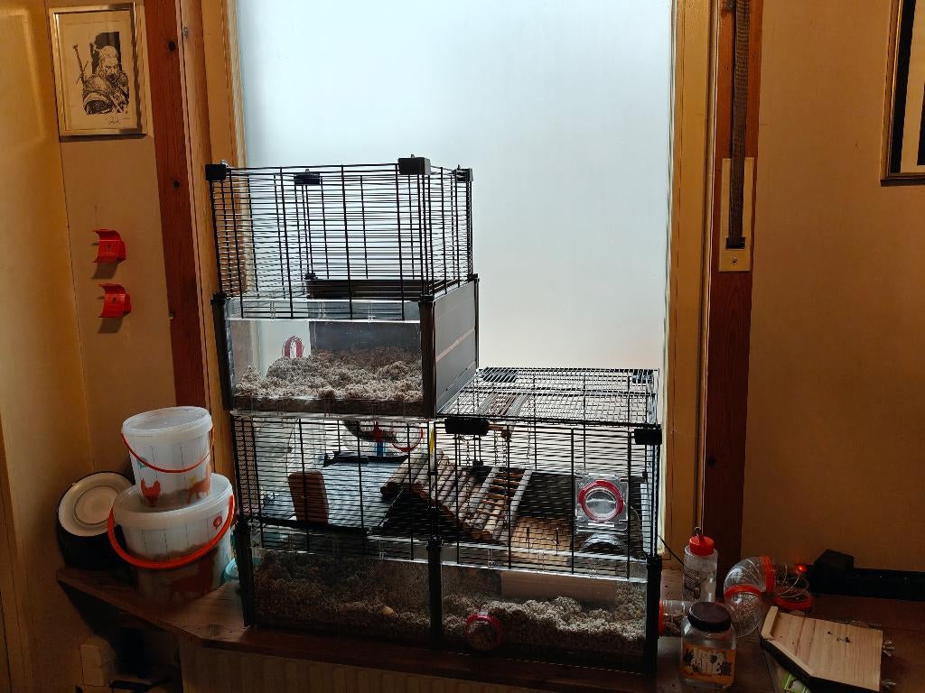 Gerbil kooi, graafbak, doos met tunnels, snacks en eten, Ophalen, Gelezen, Konijnen of Knaagdieren