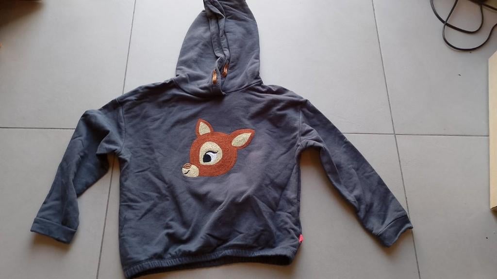 trui hoodie someone 122, Ophalen of Verzenden, Gebruikt, Meisje, Trui of Vest