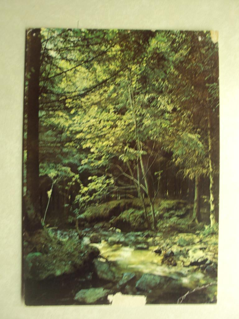 53959 - RIVIERES ET FORETS DES ARDENNES, Collections, Cartes postales | Belgique, Enlèvement ou Envoi