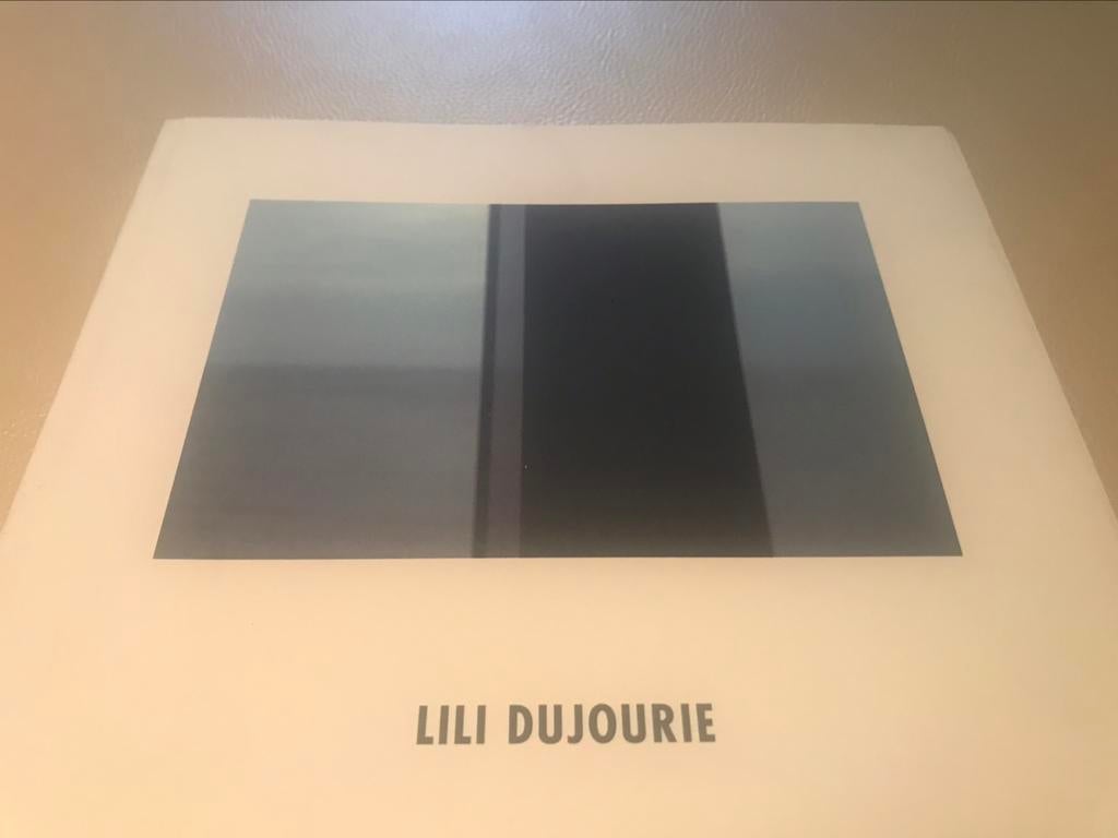 Lili Dujourie vidéos Sculptures 100pag, Enlèvement ou Envoi, Comme neuf, Sculpture